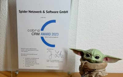 Die Spider GmbH erhält cobra CRM Award 2023